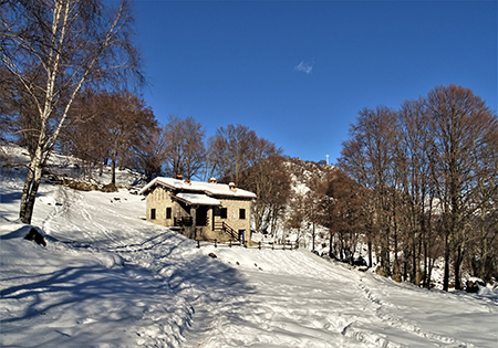 Sulle nevi del Monte Zucco (1232 m ) da S. Antonio Abbandonato (987 m) sui sent. 505-506 il 14 gennaio 2021 - FOTOGALLERY